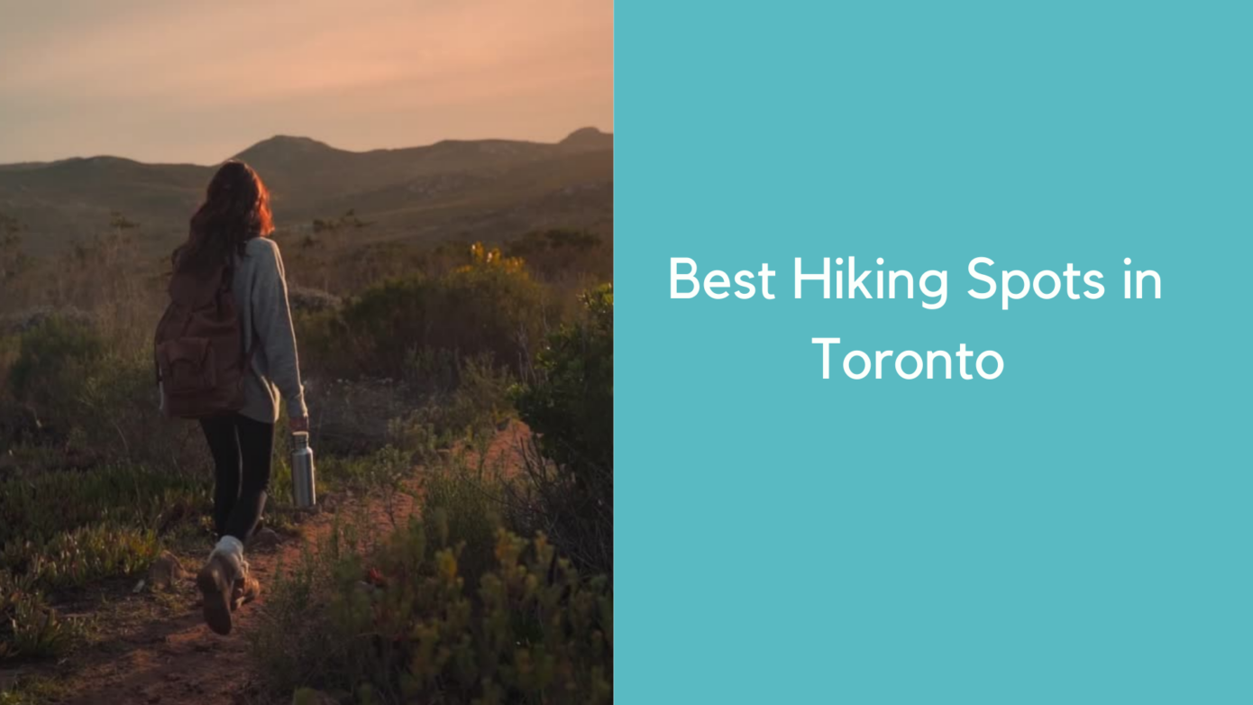 Best Hiking Spots in Toronto