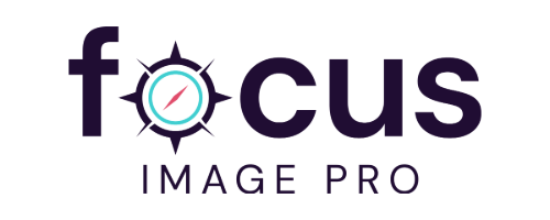 Top 100 Focus Image Pro Logo